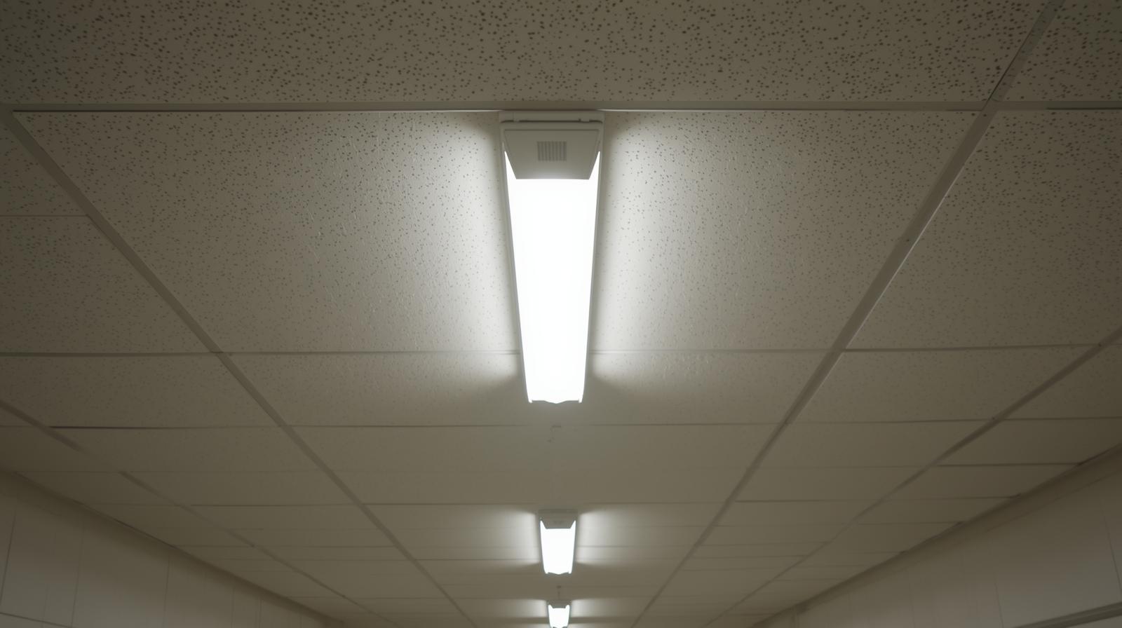 Electrical services for schools